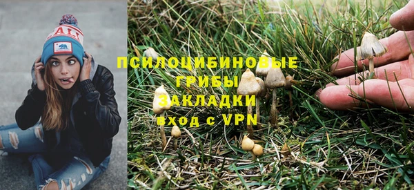 мяу мяу кристалл Бородино