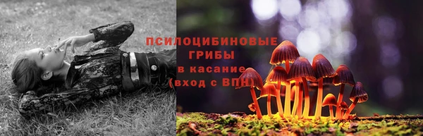 мяу мяу кристалл Бородино