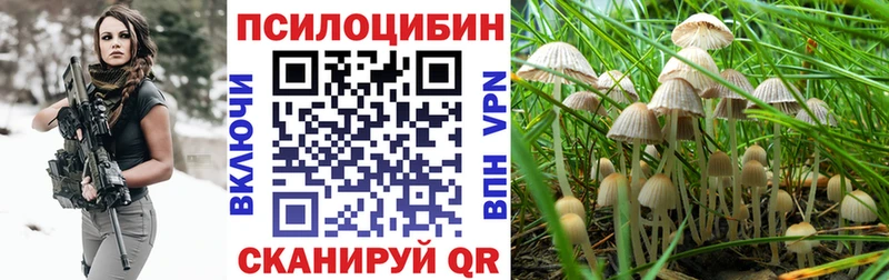 Купить закладки  Куйбышев  Галлюциногенные грибы мицелий 